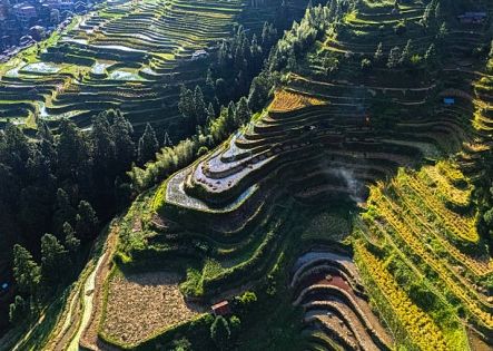 Guizhou Independent Travel: Experience Local Landscape and Culture