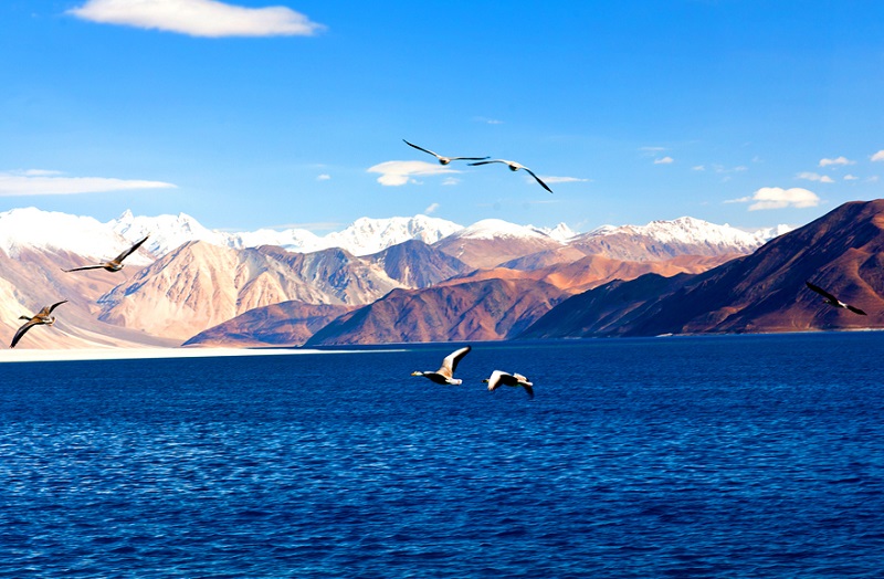 Pangong Lake