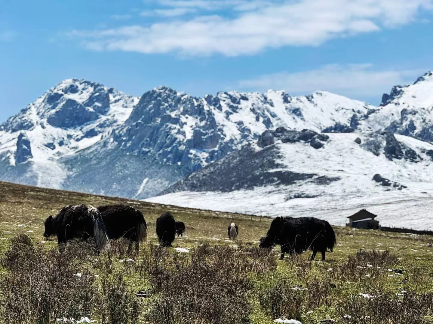 6-Day Gannan Highlights Tour: Labrang, Sangke Grassland, Zhagana & Yellow River First Bend