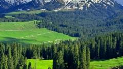 12 Days Northern Xinjiang & Duku Highway