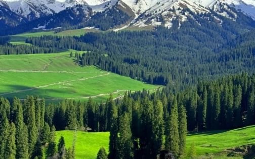 五一喀拉峻徒步已回，说些大实话！_1_西部印象_来自小红书网页版(1)