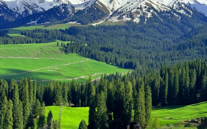 12 Days Northern Xinjiang & Duku Highway