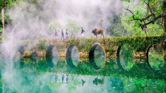 Guizhou Group Tours Guide: How to Choose, Costs, and Notes