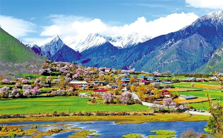 8-Day Nyingchi Tour: Lhasa, Nyingchi, Yamdrok Lake & Namtso Lake