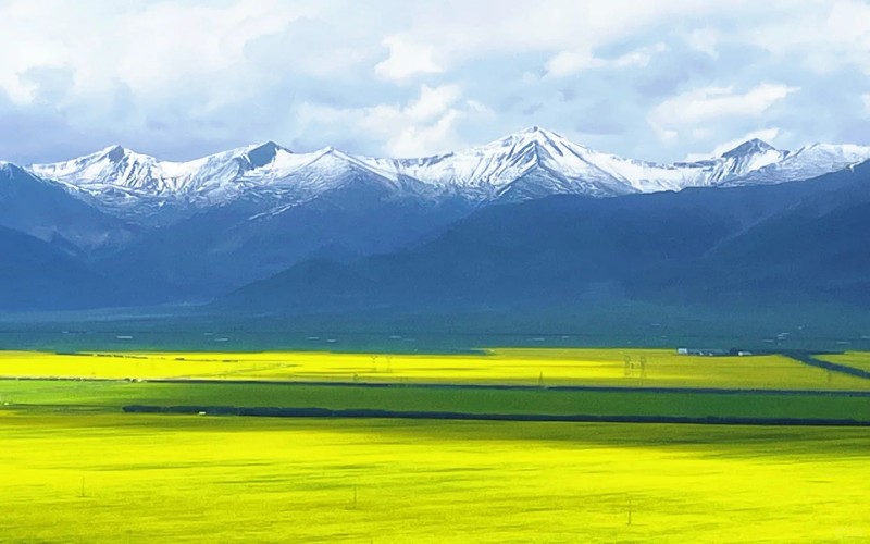 10-Day Gansu-Qinghai Grand Loop Tour: U-shaped Highway, Chaka Salt Lake, Qinghai Lake