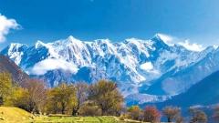 8-Day Nyingchi Tour: Lhasa, Nyingchi, Yamdrok Lake & Namtso Lake