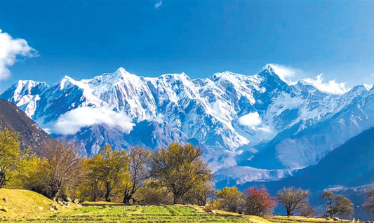 8-Day Nyingchi Tour: Lhasa, Nyingchi, Yamdrok Lake & Namtso Lake