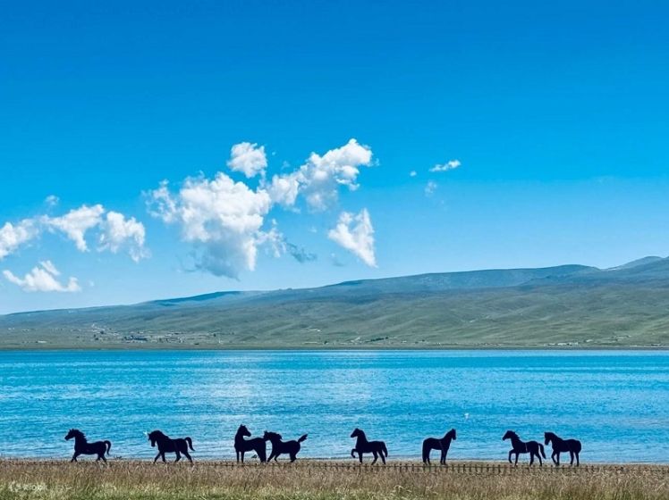 Qinghai Lake – Heimahe