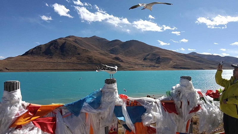 Tibet Tourist Photos