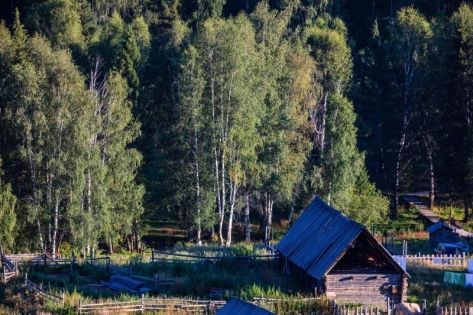Discover Fairy-Tale Burqin: The Hidden Gem of Northern Xinjiang