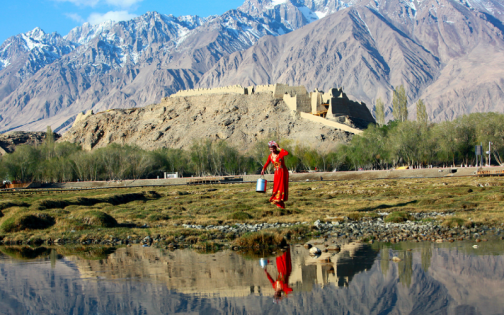 fafad616dcba8cc988691f8f252465b2