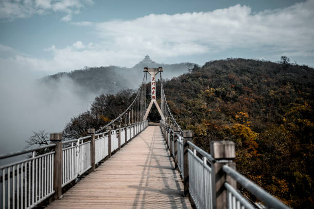 7-Day China Tour: Zhangjiajie Avatar Mountains, Changsha & Hong Kong