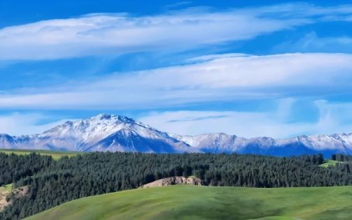 康乐草原,塞外江南的绝美秘,一睹为快_1_韩宝贝吖_来自小红书网页版(1)