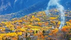 8 Days Western Sichuan Tour: Wolong Panda Reserve, Siguniang, Xinduqiao, Yading & More