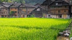 5-Day In-Depth Guizhou Tour: Huangguoshu Waterfall, Xiaoqikong, Xijiang Miao Village and More