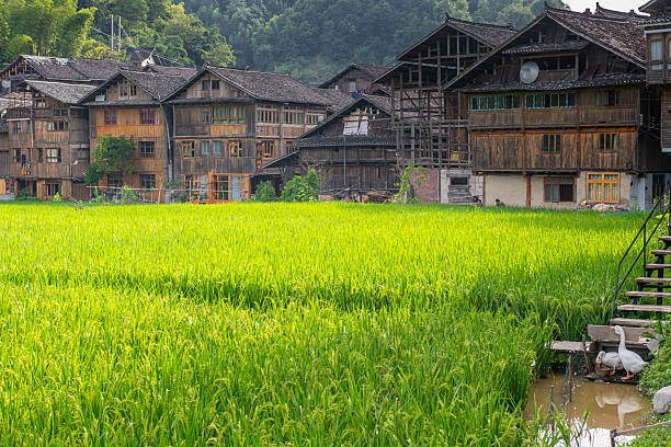 5-Day In-Depth Guizhou Tour: Huangguoshu Waterfall, Xiaoqikong, Xijiang Miao Village and More