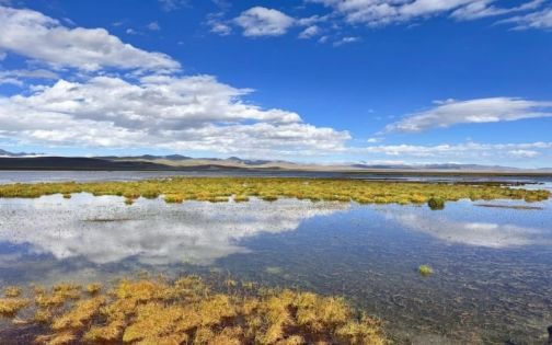 _1_東明_来自小红书网页版