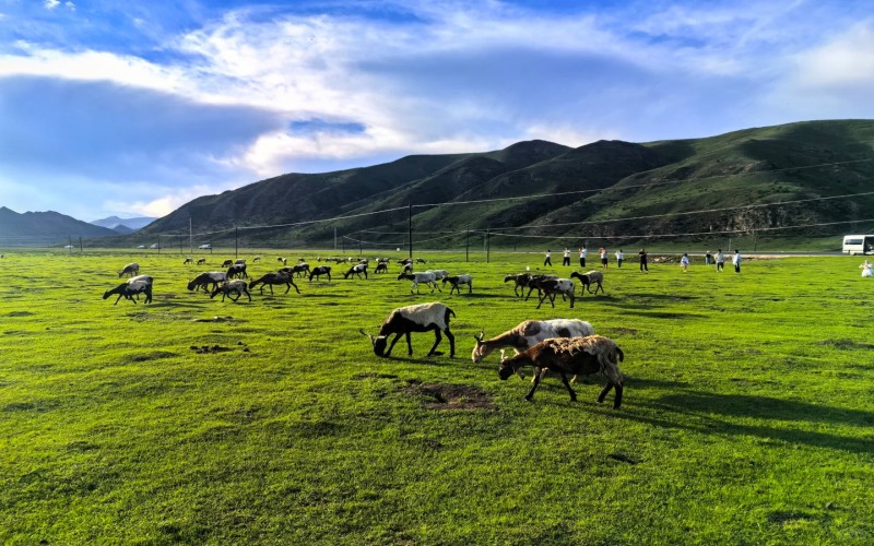 Gannan & Western Sichuan 6-Day Discovery Tour