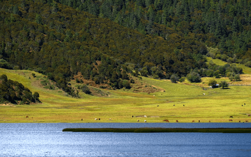 10-Day In-Depth Yunnan Tour: Kunming, Dali, Lijiang, Shangri-La & Lugu Lake