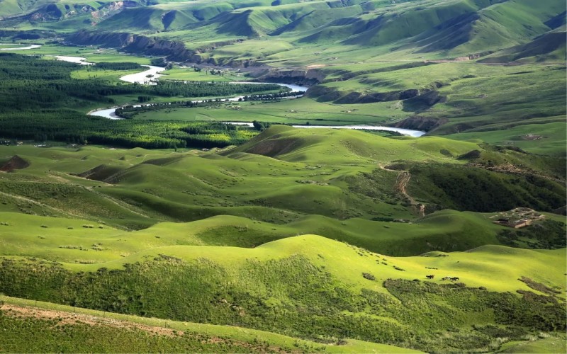 12 Days Northern Xinjiang & Duku Highway