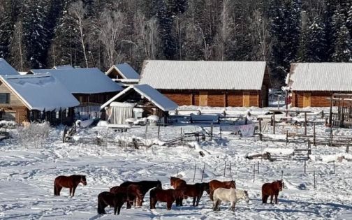 禾木的雪，才是上帝私藏的冬日童话❄️_4_小鹿_来自小红书网页版(1)