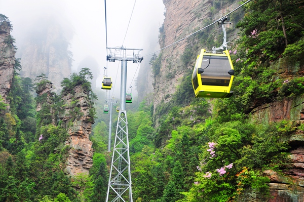 6-Day China Adventure: From Neon Chongqing to Avatar Zhangjiajie
