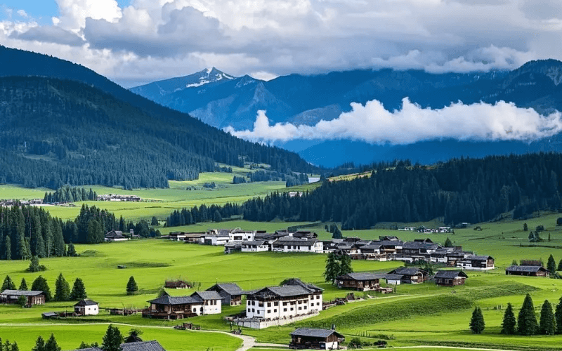 10-Day Tibet Peach Blossom Tour: Lhasa, Nyingchi & Bomi with Qinghai-Tibet Train