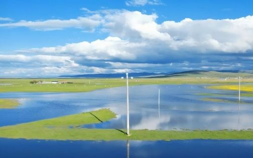 若诗若画若尔盖_3_Cooopper_来自小红书网页版(1)