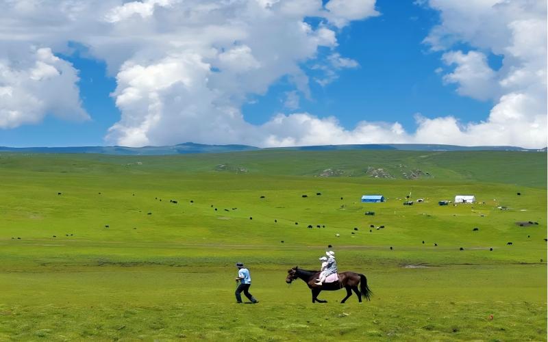 Gannan & Western Sichuan 6-Day Discovery Tour