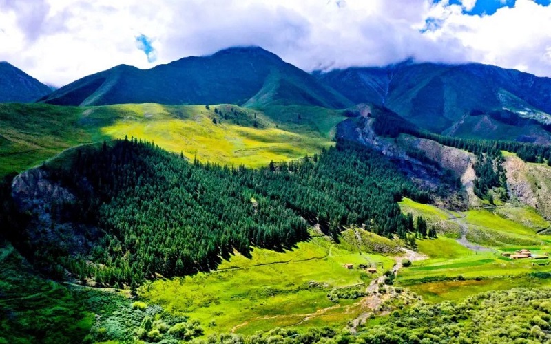 Qilian Mountain Grassland1