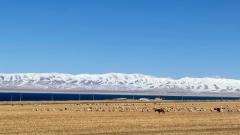 When Is the Best Time to Visit Northwest China