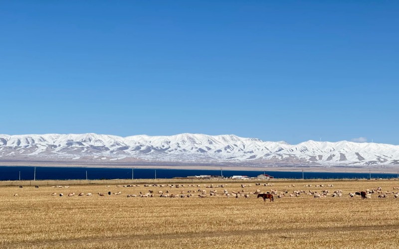 13 Days Silk Road Group Tour: Xinjiang, Gansu, Qinghai
