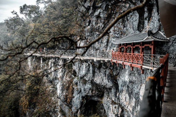 7-Day China Tour: Zhangjiajie Avatar Mountains, Changsha & Hong Kong