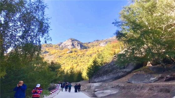 0c7ffeb2a9e09efdf25745528cba4dff