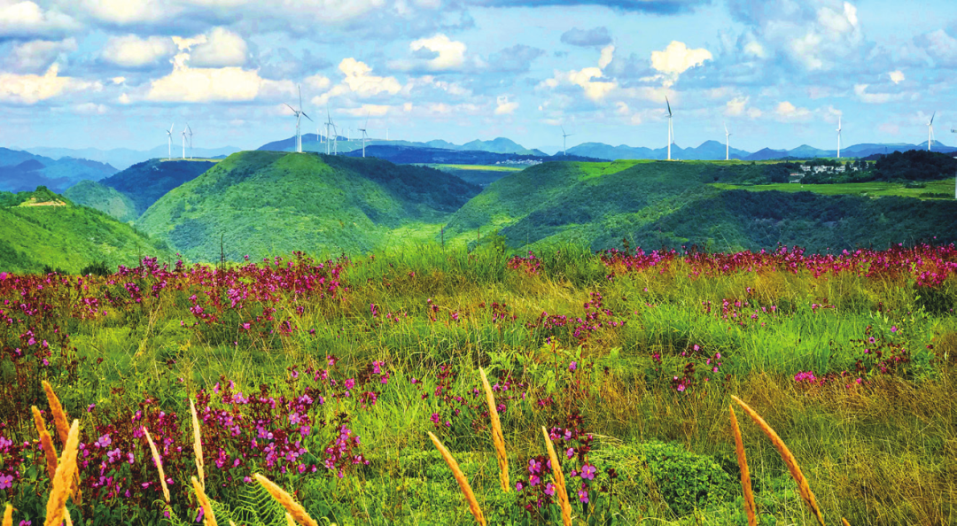 Longli Oil Painting Prairie