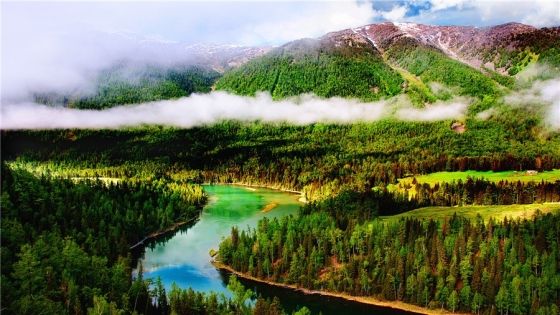 b0b56a59c45d96f722621292863424e8(1)