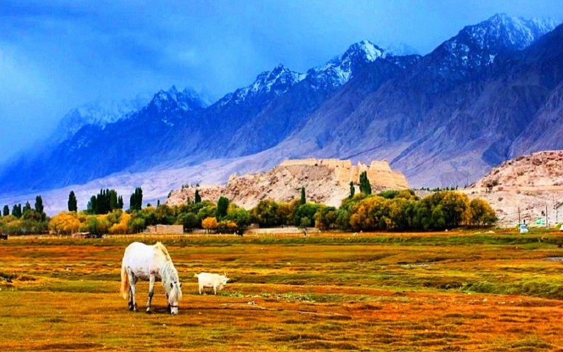 13 Days Silk Road Group Tour: Xinjiang, Gansu, Qinghai