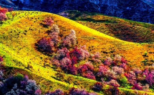 Travel Guide | A Climate Guide for Spring Wandering in the Western Regions