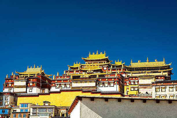 5-Day In-Depth Tour of Tibet: From Lhasa to Yamdrok Lake