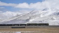 2026 Tibet Train Travel Guide: Immersive "Sky Road" Experience & Practical Tips