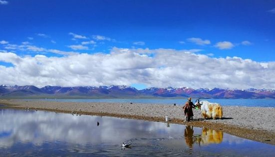 Common Questions About Tibet Travel: 2026-2027 Complete Guide to Tibet Trip