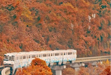 When is the Best Time to Visit Chongqing? Experience the Romantic 3D Mountain City in Spring and Autumn