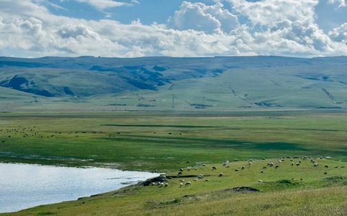 Qinghai Lake: The Most Practical Guide for First-Time Visitors