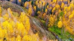 Xinjiang September Weather Guide: North Xinjiang's Golden Autumn & South Xinjiang's Warm Sun