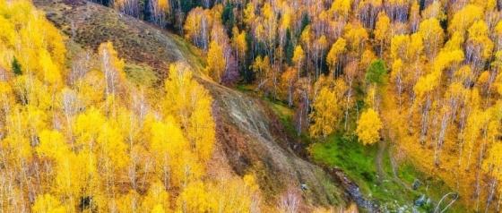 Xinjiang September Weather Guide: North Xinjiang's Golden Autumn & South Xinjiang's Warm Sun