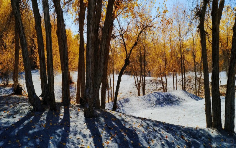 11 Day Tour[Winter Limited] Drunken Beauty Xinjiang Ice and Snow Kanas Fairy Tale New Vision