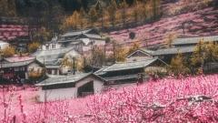 Yunnan in April: Sunlight, Blossoms, and the Most Beautiful Scenery