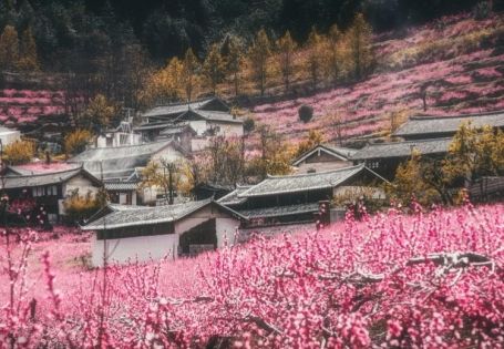 Peach Blossom Village, Lijiang, Yunnan