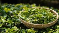 Yunnan Souvenirs: Buying Unique Gifts from Yunnan