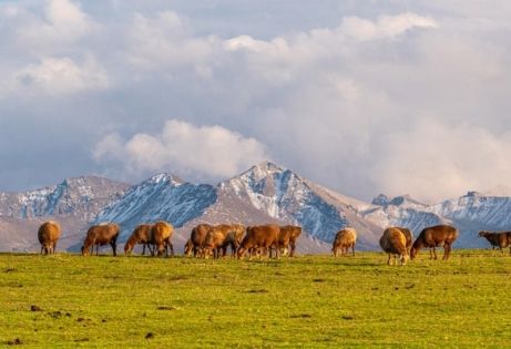 Complete Guide to Xinjiang Yili Weather: Four-Season Charms and Travel Essentials